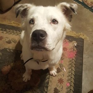 Meet your Posher, William